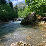Alpenhirsch - * Hirschegg (Vorarlberg)
