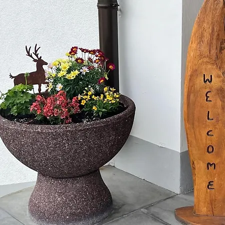 Alpenhirsch - * Hirschegg (Vorarlberg)