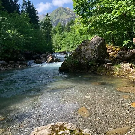 Alpenhirsch - * Hirschegg (Vorarlberg)