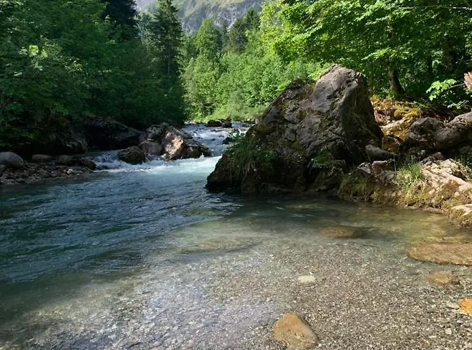 Alpenhirsch - * Hirschegg (Vorarlberg)